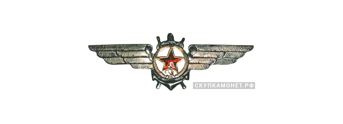 Знак «Командный состав авиации ВМФ», фото 1 