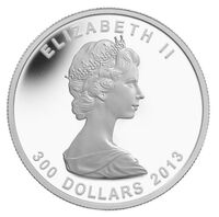  300 долларов 2013 года, 25 лет кленовому листу, фото 1 