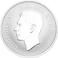  25 центов 2018 года, Гусь, фото 1 