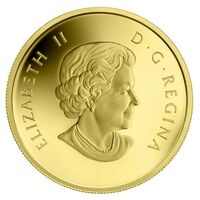  50 центов 2011 года, Тайга, фото 1 