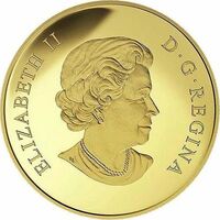  200 долларов 2017 года, Алекс Маккензи, фото 1 