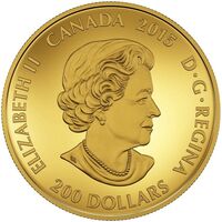  200 долларов 2015 года, Фестиваль огней Дивали, фото 1 