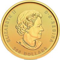  200 долларов 2022 года, Поиск золота, фото 1 