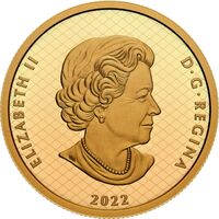  200 долларов 2022 года, 50 лет серии саммитов, фото 1 