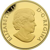  250 долларов 2015 года, Широколистный цветок-наконечник стрелы и черепаха, фото 1 