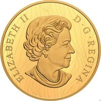  2 500 долларов 2020 года, &amp;quot;Летний белый медведь&amp;quot; - Роберта Бейтмана, фото 1 