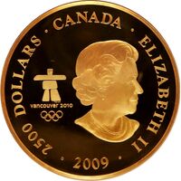  2 500 долларов 2009 года, Пережить наводнение, фото 1 