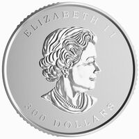  300 долларов 2015 года, Кленовый лист навсегда, фото 1 