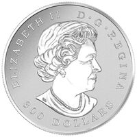  300 долларов 2016 года, Кленовый лист навсегда, фото 1 