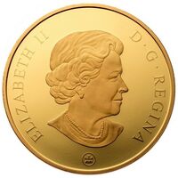  300 долларов 2008 года, Ньюфаундленд и Лабрадор, фото 1 
