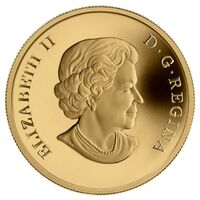  300 долларов 2013 года, Северо-западные территории, фото 1 