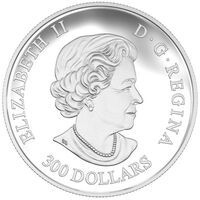  300 долларов 2016 года, Борьба, фото 1 