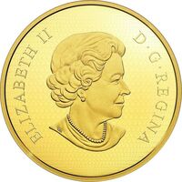  500 долларов 2018 года, Виргинский филин, фото 1 