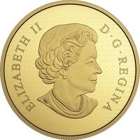  500 долларов 2017 года, Краснохвостый сарыч, фото 1 