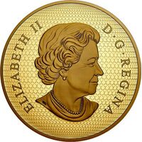  500 долларов 2020 года, Великолепные кленовые листья, фото 1 