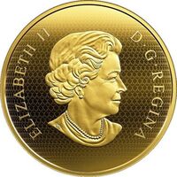  500 долларов 2019 года, Беркут, фото 1 