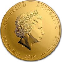  100 долларов 2019 года, Год свиньи, фото 1 