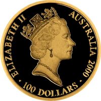  100 долларов 2000 года, Против стихий, фото 1 