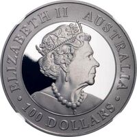  100 долларов 2019 года, Австралийский клинохвостый орел. Платина, фото 1 