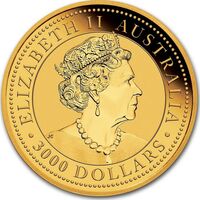  3 000 долларов 2019-2022 годов, Красный кенгуру, фото 1 