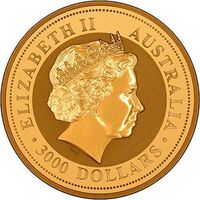  3 000 долларов 2006 года, Год собаки, фото 1 