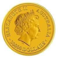  30 000 долларов 2007 года, Год свиньи, фото 1 