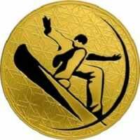  Зимние виды спорта 