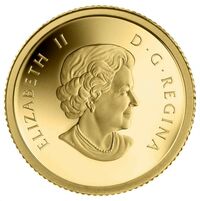  50 центов 2013 года, Сова Шаман держит гуся, фото 1 