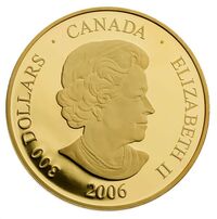  300 долларов 2006 года, Хрустальная снежинка, фото 1 