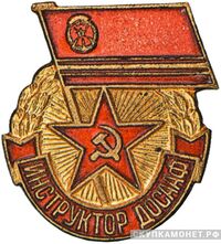  «Инструктор ДОСААФ», знаки добровольных обществ и общественных организаций, фото 1 