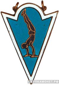  Призовой жетон участника соревнования по гимнастике, спортивные знаки и жетоны, фото 1 