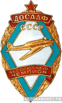  Призовой знак «Абсолютный чемпион», знаки добровольных обществ и общественных организаций, фото 1 