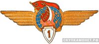  Знак «Летчик-космонавт 1-го класса», фото 1 