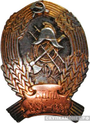  Юбилейный знак Бобруйского добровольного пожарного общества (БДПО), фото 1 