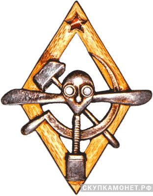  Знак за окончание курсов инструкторов АВИАХИМа, знаки добровольных обществ и общественных организаций, фото 1 