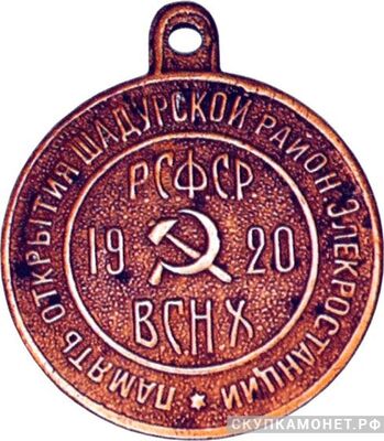  Жетон в честь пуска первой очереди Шатурской ГЭС, знаки и жетоны героев труда и ударников первых пятилеток, фото 1 