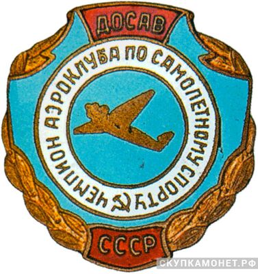  «Чемпион аэроклуба по самолетному спорту», знаки добровольных обществ и общественных организаций, фото 1 
