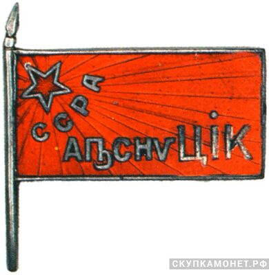  Жетон «Член ЦИК Абхазской ССР», знаки и жетоны членов ЦИК и депутатов Верховных Советов, фото 1 