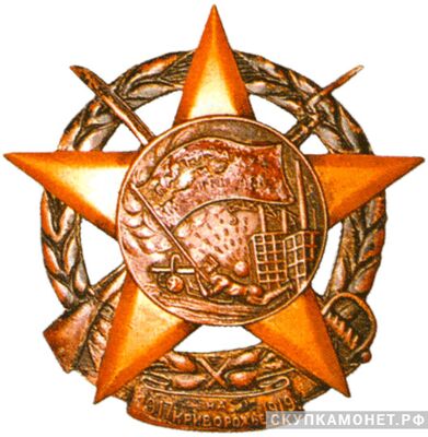  Знак «Партизану и красногвардейцу на Криворожье», фото 1 