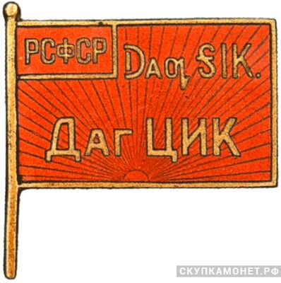  Жетон «Член ЦИК Дагестанской АССР», знаки и жетоны членов ЦИК и депутатов Верховных Советов, фото 1 