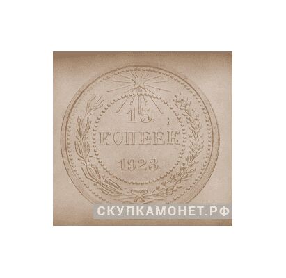  15 копеек 1923. С рисунком монеты, фото 1 