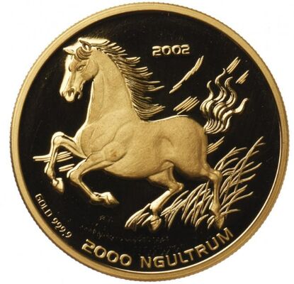  2000 нгултрумов, 2002 год, Год лошади, фото 1 