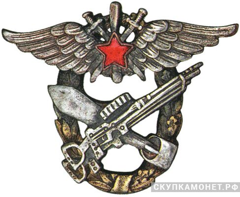  Знак за окончание школы летчиков-наблюдателей, фото 1 