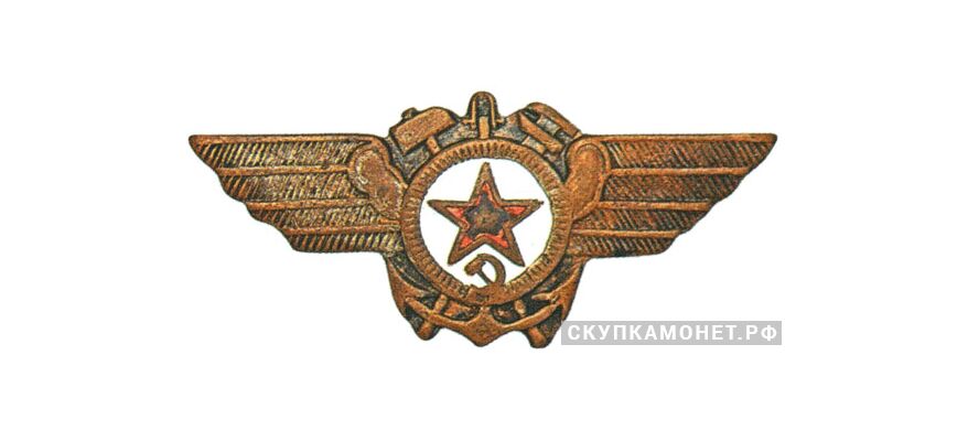 Знак «Командный состав авиации ВМФ», фото 1 