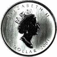  1 доллар 2003 года, Кленовый лист, фото 1 