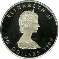  20 долларов 1988-1989 годов, Кленовый лист, фото 1 