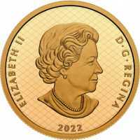  200 долларов 2022 года, 50 лет серии саммитов, фото 1 