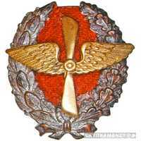  Знак «Красного военного летчика», фото 1 
