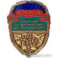  «Отличнику садоводства и виноградарства Молдавской ССР», знаки и жетоны героев труда и ударников первых пятилеток, фото 1 