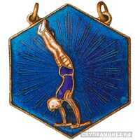  Жетон участника соревнований по гимнастике, спортивные знаки и жетоны, фото 1 